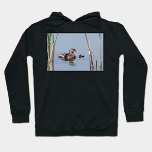 Pied-billed Grebe Hoodie